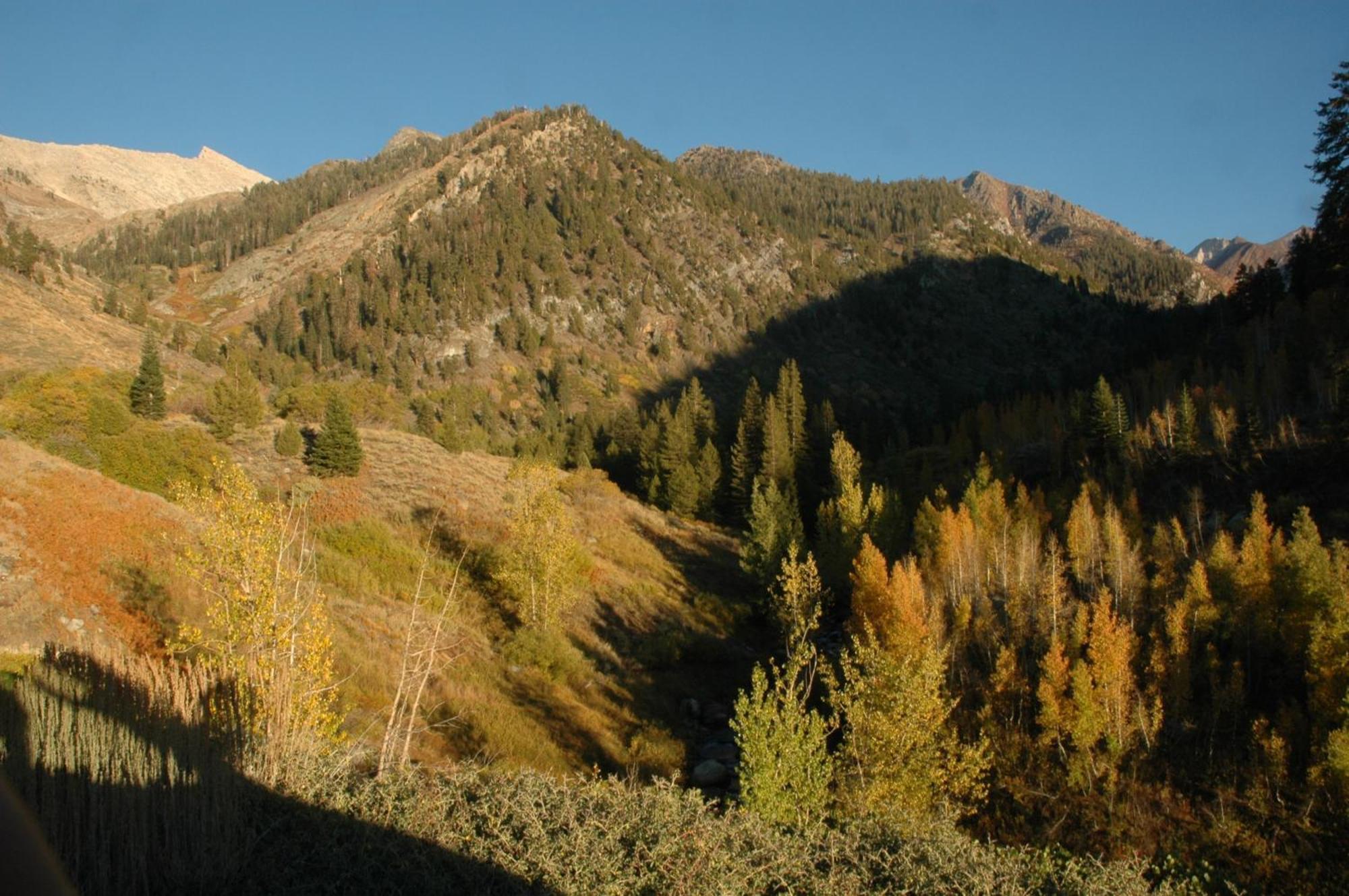 Silver City Mountain Resort Три Ривърс Екстериор снимка